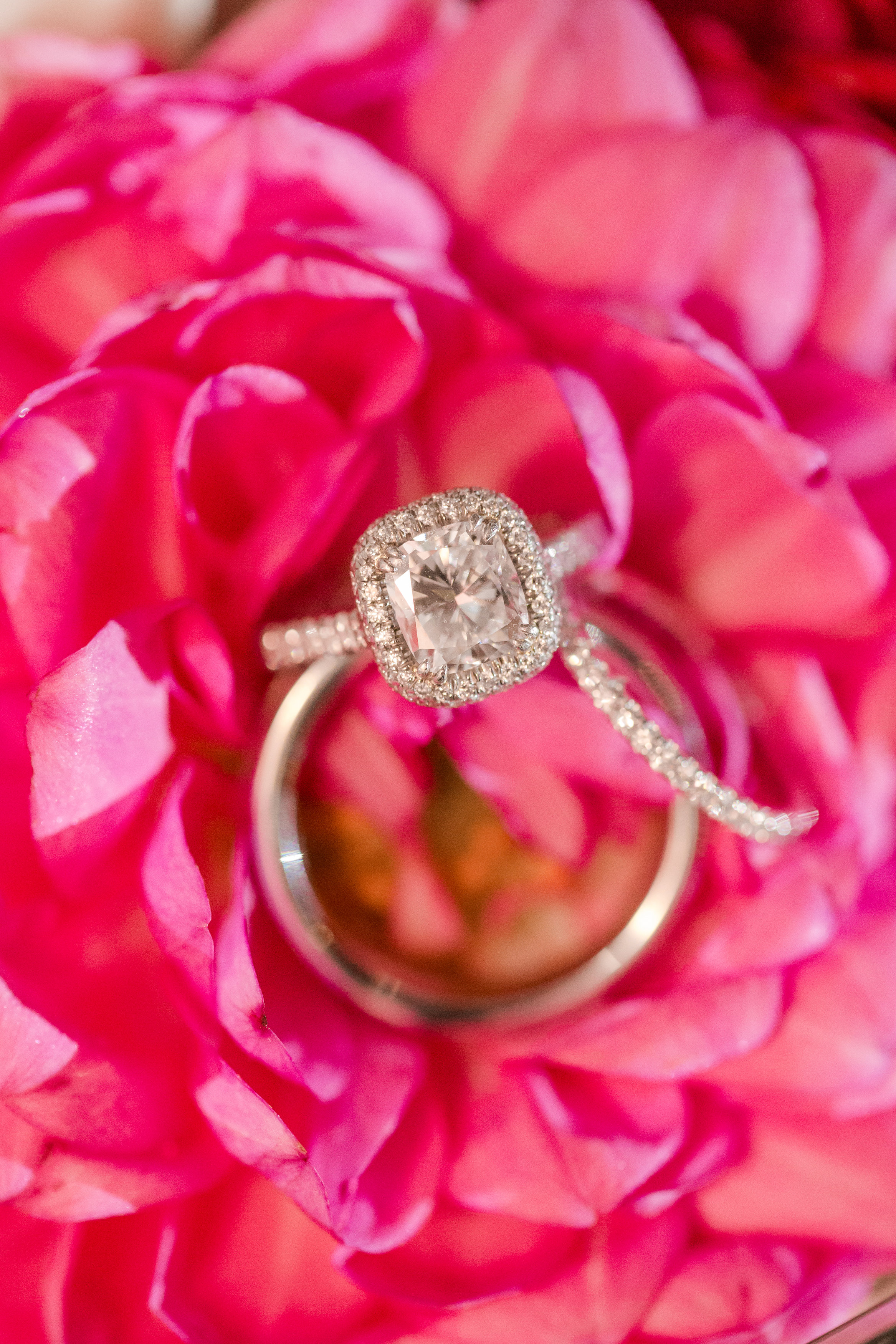 View More: https://katelynjames.pass.us/cliffandlauriewedding